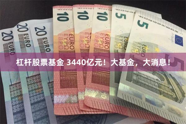 杠杆股票基金 3440亿元！大基金，大消息！