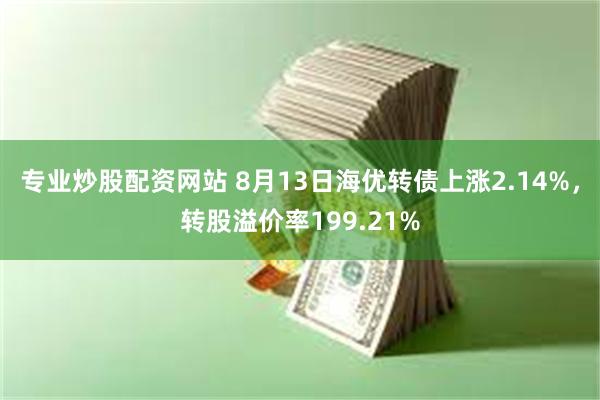 专业炒股配资网站 8月13日海优转债上涨2.14%，转股溢价率199.21%