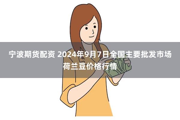 宁波期货配资 2024年9月7日全国主要批发市场荷兰豆价格行情