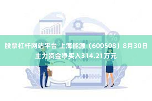 股票杠杆网站平台 上海能源（600508）8月30日主力资金净买入314.21万元