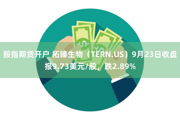 股指期货开户 拓臻生物（TERN.US）9月23日收盘报9.73美元/股，跌2.89%