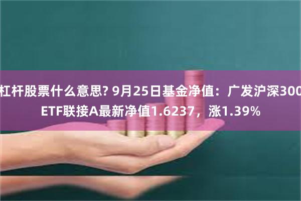 杠杆股票什么意思? 9月25日基金净值：广发沪深300ETF联接A最新净值1.6237，涨1.39%