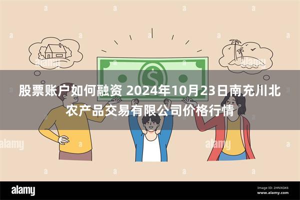 股票账户如何融资 2024年10月23日南充川北农产品交易有限公司价格行情