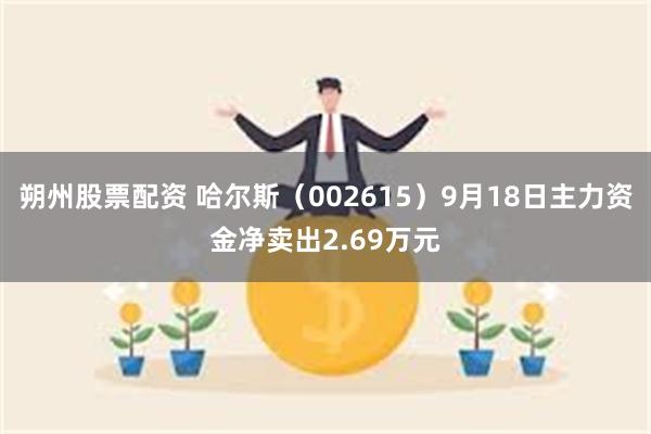 朔州股票配资 哈尔斯（002615）9月18日主力资金净卖出2.69万元