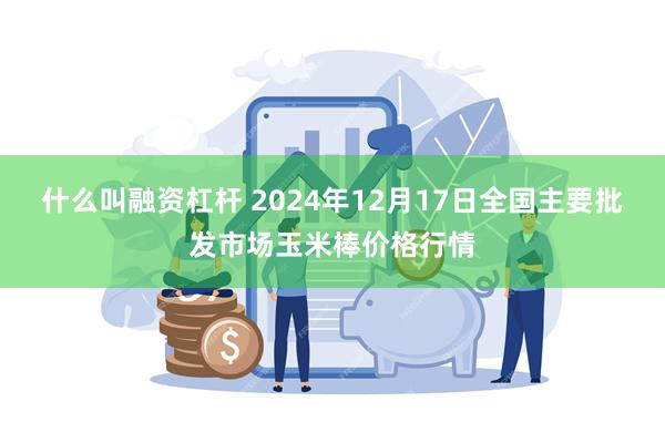 什么叫融资杠杆 2024年12月17日全国主要批发市场玉米棒价格行情