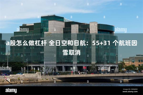 a股怎么做杠杆 全日空和日航：55+31 个航班因雪取消